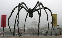 /album/arte-virtual-/louisebourgeois-aranha-jpg/